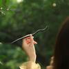 Hanfu Disk Hair Headwear Hair Accessories Chinese Style Hair Fork Hairpin Wooden Hair Stick