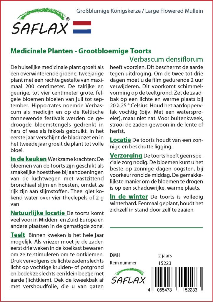 SAFLAX Garden in the Bag - Коровяк крупноцветковый - 500 семян - С субстратом в подходящем мешке - Verbascum densiflorum