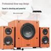 SAST SA-6606 Домашняя KTV Bluetooth-акустическая система Штепсель CN (адаптер в комплекте)