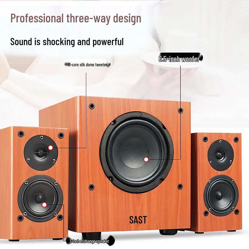 SAST SA-6606 Домашняя KTV Bluetooth-акустическая система Штепсель CN (адаптер в комплекте)