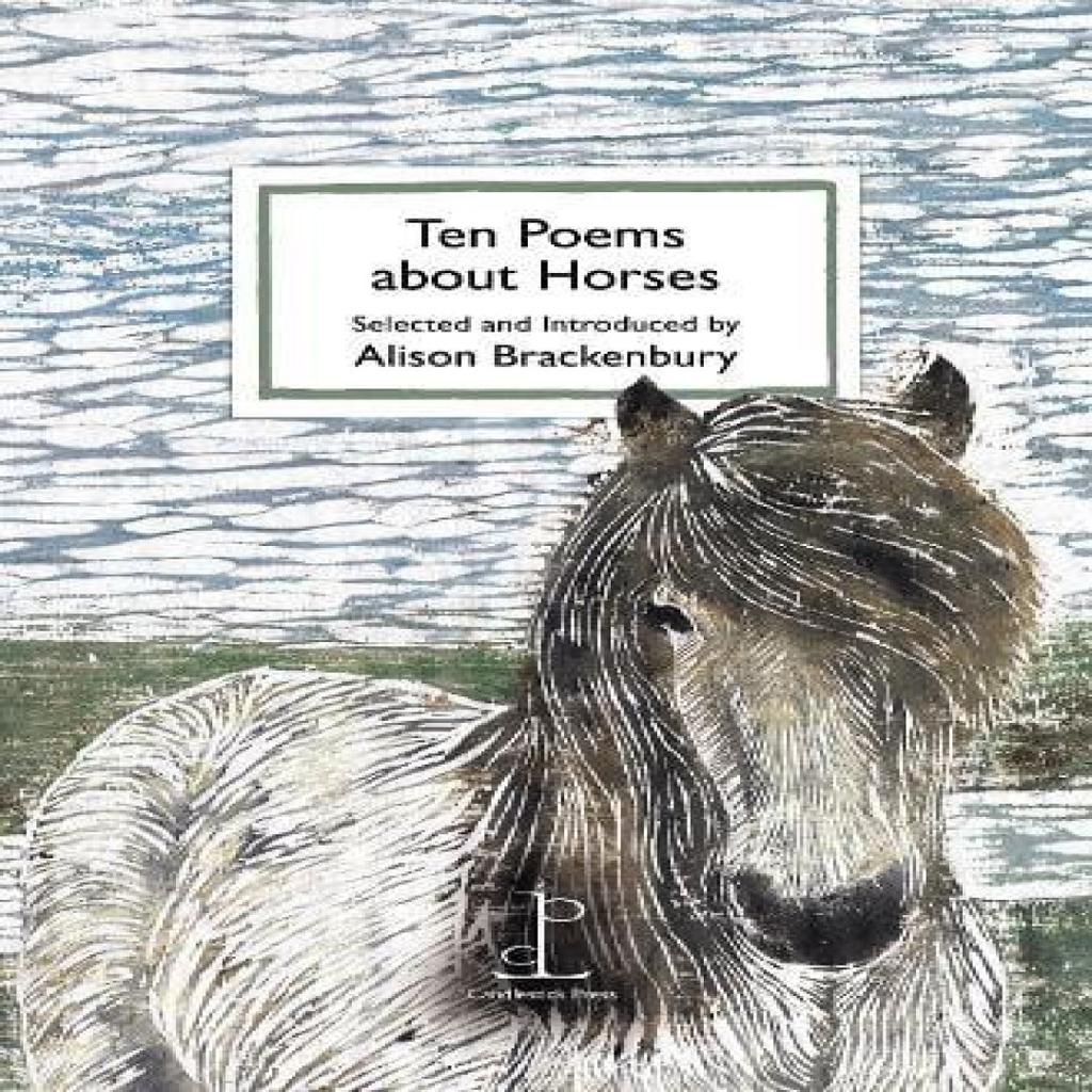 Ten Poems about Horses Paperback Book 9781907598791