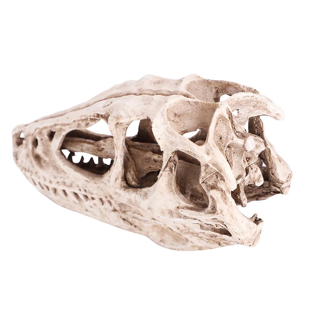 Resin Dinosaur Skull Model Simulated Animal Skeleton Home Office Decor Craft Teaching Prop