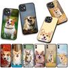 Phone Cover Dog Cute Corgi for Motorola Moto G54 G05 G24 G45 G55 G75 G85 G15 G57 G86 Power Edge 50 30 Ultra Fusion neo Pro Case