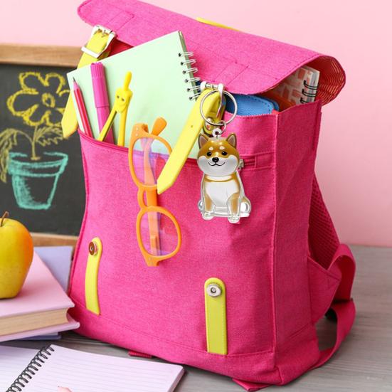 Keychain Pet Style Collect Pet Hair Transparent Pendant Keyring Bag Pendant Key