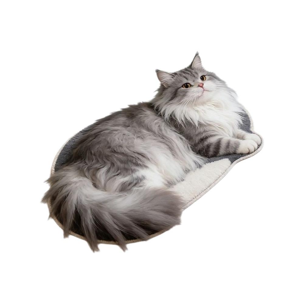 Super Absorbent Cute Cat Diatom Floor Mat Bedroom Door Small Rug Living Room Tea Table Bedside
