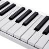 61 Keys Digital Electronic Piano Keyboard MIDI Output 128 Tones 128 Rhythms 14 Demo Songs Recording