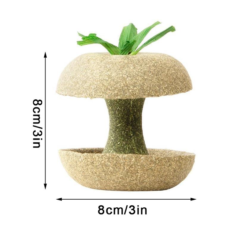 Игрушки для жевания хомяков для зубов - Игрушки для жевания морских свинок для зубов, жевательные лакомства для еды, аксессуары для клетки хомяка