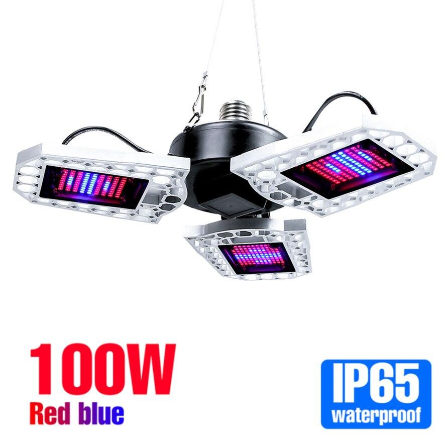 Фитолампа 300 Вт, светодиодная лампа для семян растений, 110 В/220 В, лампа для выращивания растений E27, полный спектр, гидропоника, светодиодная панель Lampara, лампа для выращивания в палатке Bombilla