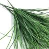 5Pcs Artificial Grass Realistic 7 Branch Simulation Artificial Grass Flower Arrangement for Home Decoration