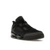 Air Jordan Spizike Low Black Cat Unisex Sneakers Anthracite FQ1759-001