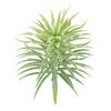 Artificial Pine Plant Simulation Home Office Ornament Plant Decoration