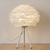 Modern Feather Table Lamp Simple Elegant Tripod Desk Lights Night Light Wedding Room Kids Living Room Led Light Use E27