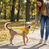 Quick-drying Pet Cooling Vest Thin Breathable Pet Sunscreen Clothes  Summer Season