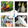 Automatic Bird Baths For Parrots Budgies Parakeets Cockatiels Bird Cage Baths Hanging Water Bottle With 120 Ml Capacity