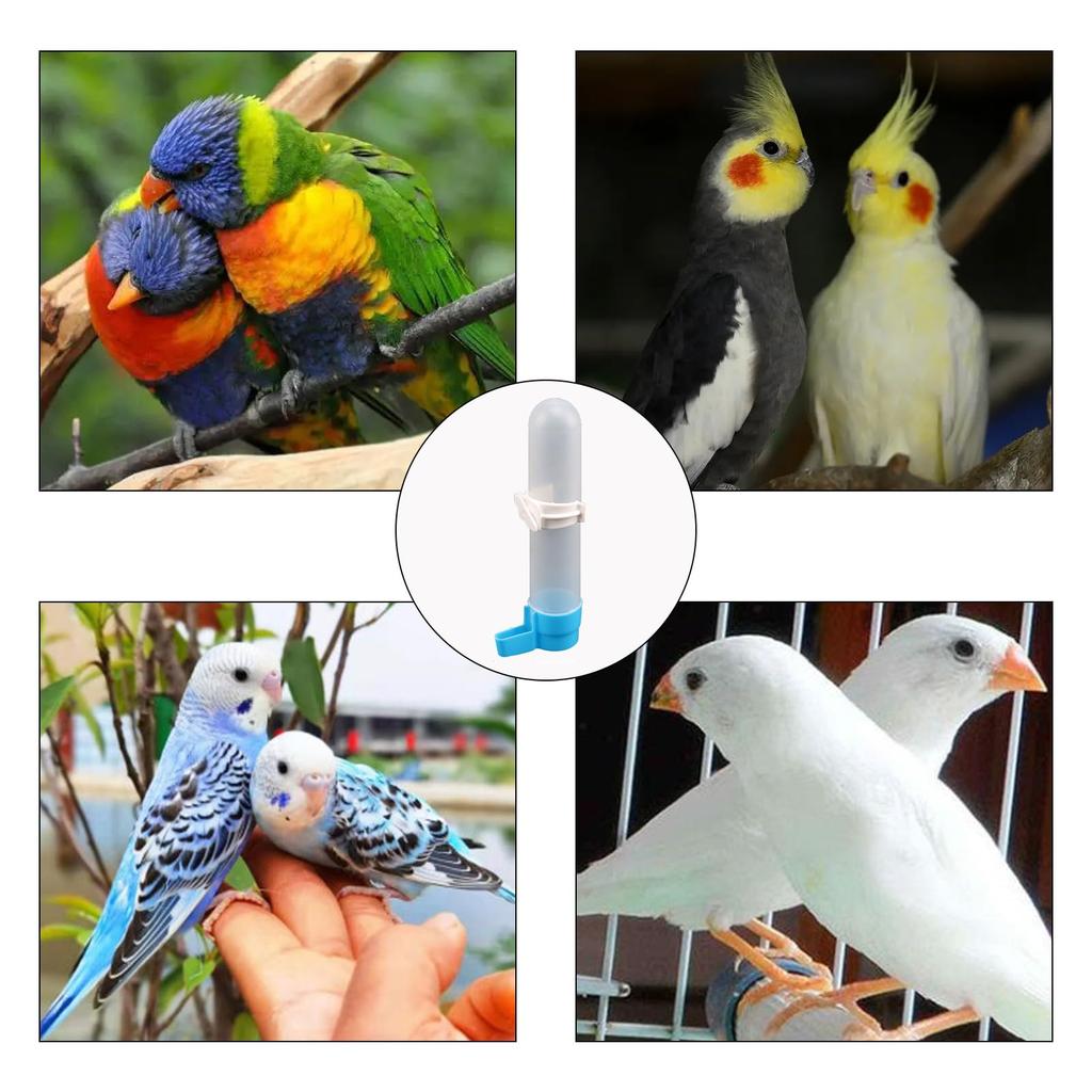 Automatic Bird Baths For Parrots Budgies Parakeets Cockatiels Bird Cage Baths Hanging Water Bottle With 120 Ml Capacity