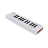 Arturia MicroLab MK3 Keyboard Controller, 25-Key, Velocity-Sensitive, High-Quality Slim Keyboard with USB-C Connection, White (MICROLAB MK3 WH)
