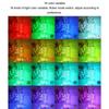 2 шт. гирлянды с дистанционным управлением, светодиодные гирлянды 16 цветов, мерцающие огни, водонепроницаемые рождественские гирлянды для использования в помещении и на открытом воздухе