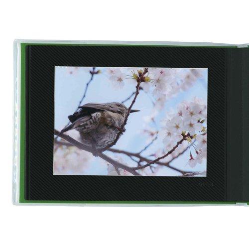 Photograph Colorful 20 Photos Album Collection Yellow