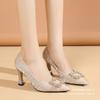 2025 New Pointed Rhinestone Square Buckle High Heel Thick Heel Single Shoes Women's Doudou Shoes Internet Celebrity Shallow Mouth Evening Wind Wome