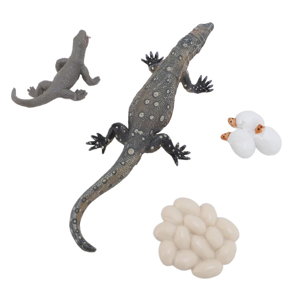 4 Pcs Lizard Life Cycle Toy PVC Realistic Educational Reptile Animal Growth Cycle Toy