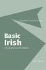 Книга Basic Irish: A Grammar and Workbook