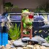Garden Ornament Pot Hanger Frog Ladder Design Weather-Resistant Resin Pot Edge Ornament Plant Display Accessory
