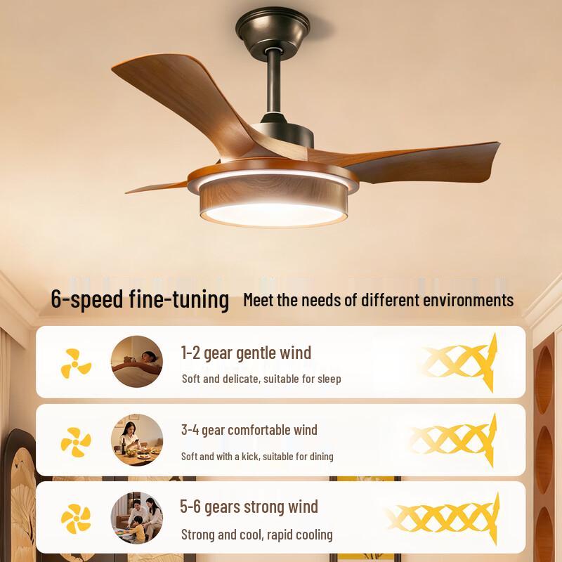 Oeny Full Spectrum Living Room Fan Light