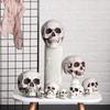 1PC High Quality Home Decor Party Decoration Hanging Decor Skull Head Human Skeleton Halloween Props