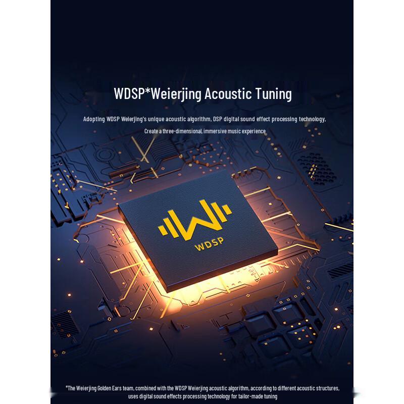 W-King T16L 160W Outdoor Karaoke Bluetooth Speaker