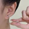 Super fairy purple zircon butterfly ear row earrings female, niche design sense exquisite versatile stud earrings Internet celebrity earrings