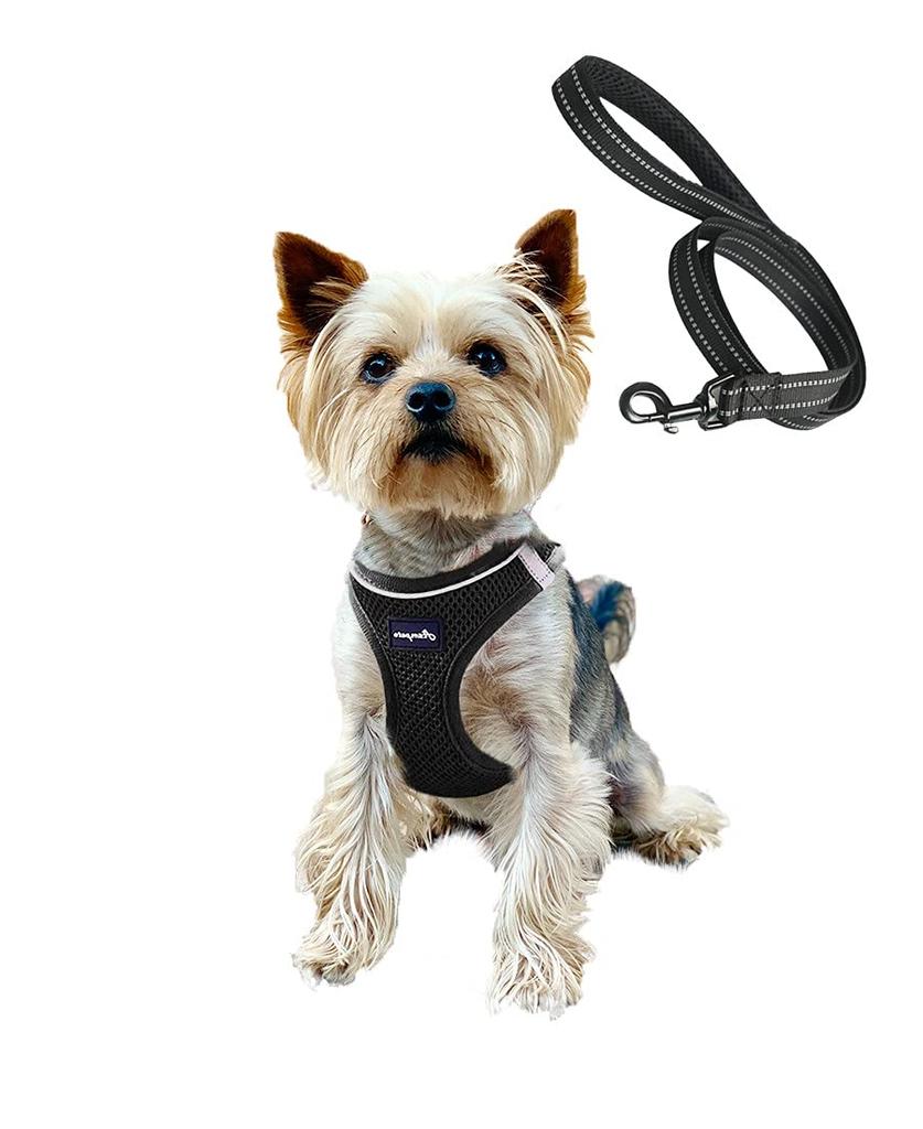ASMPET Dog Harness and Leash for Small Dogs and Adjustable Collar and Night No Size 3XS Puppies, Breathable, Harness, Anti-Pulling, Comfortable, Soft,
