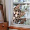 Забавная кошка, заглядывающая в окно, Наклейка на стену, Декор для ванной комнаты, туалета, гостиной, шкафа, холодильника, Наклейки для декора дома S636