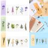 Leaf Vein Reading Mark Specimen Bookmarks Nature Plants Bookmarks Translucent Flower Bookmarks Card