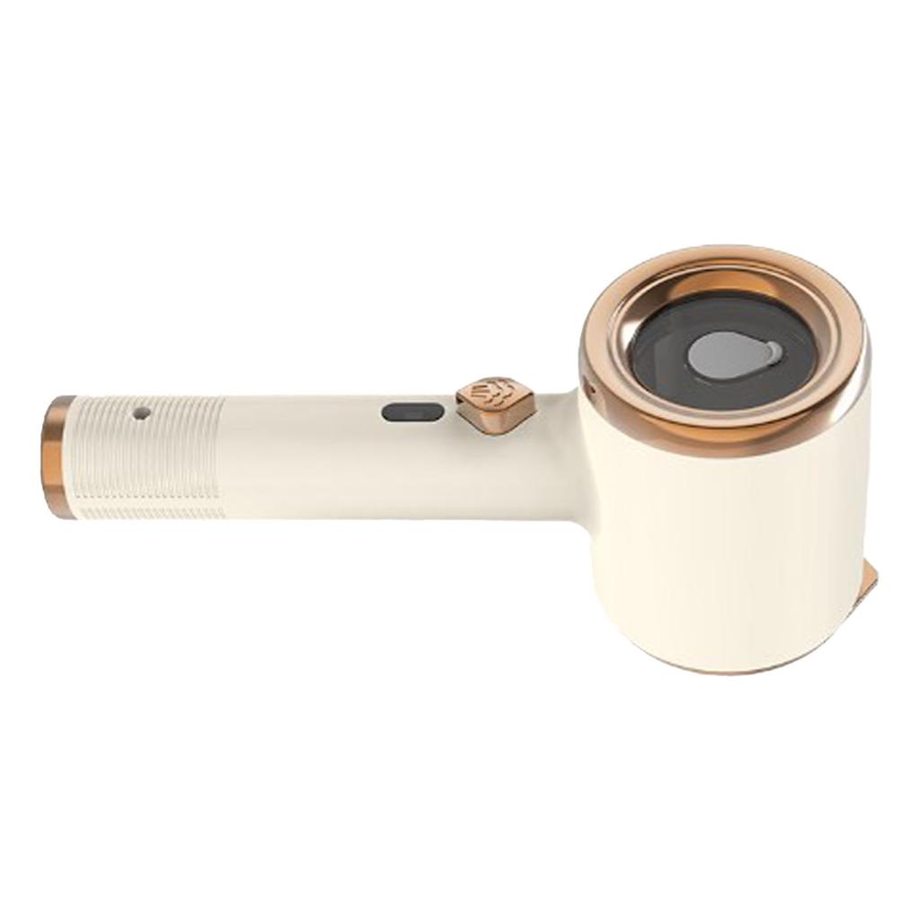 Handheld Hanging Iron Wet and Dry Ironing Wrinkle Remover 33W Electric Iron Machine for Clothes