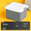 Xitianlong Plastic Storage Box for Moving, Car Organizer, 24L, Glacier Gray, 1 Piece, without Wheels