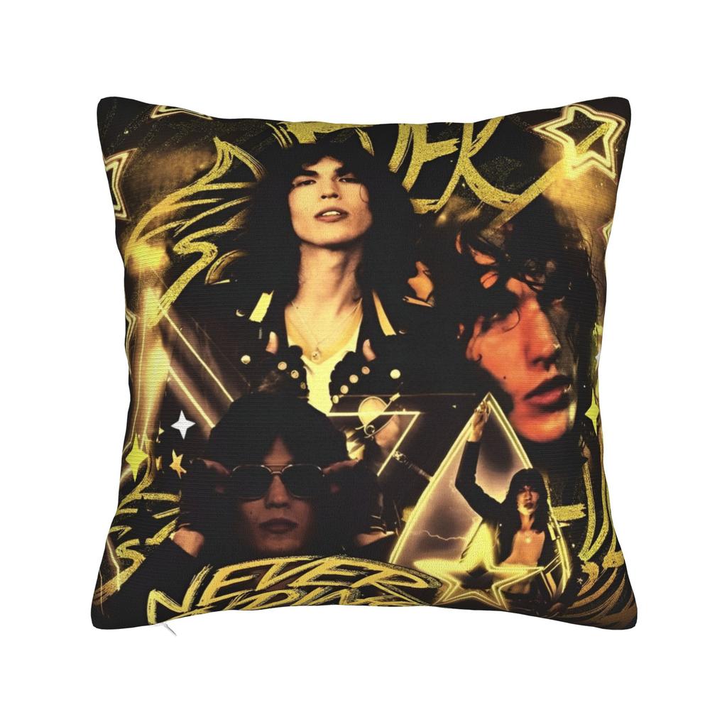 Conan Gray Album    Wishbone Square Pillow Covers Polyester Home  Cushion Case Funny Decorative Throw Pillow Case 4545