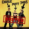 CD BUSTED - Busted UICI9004 Island Records 2003 Япония Рок Б/у