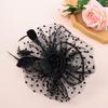 Mesh Flower Wedding Alice Headband Clip Tea Party Headband Feathers Hair Clip Fascinator Hat