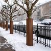 Зимняя защита ствола садового дерева, Термоизолирующая обмотка со шнурком, Защита от замерзания, Зимняя кора для пальм, Плодовых деревьев, Холод