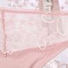 Triumph Aqua Plumeria Mesh Lace Panty Blue Tbfse004538