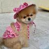 Pet Swimwear One-piece Sling Bikini Dog Breathable Vest Swimsuit Pink Leopard Print Dog Swimsuit Teddy Yorkshire Cat Clothing