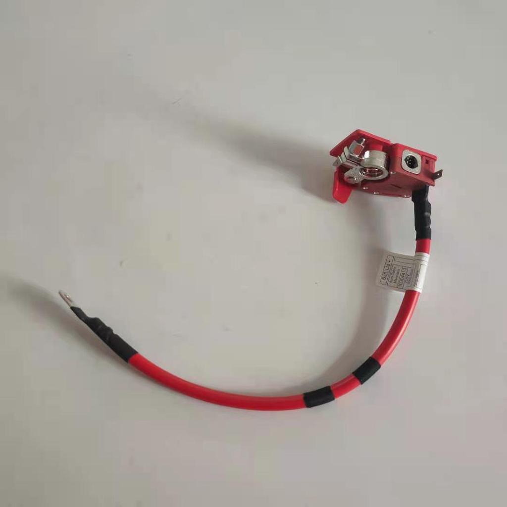 Positive Battery Cable for BMW 3 Series G20/G28 (Part 61128796959)