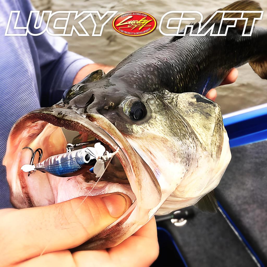 Lucky Craft USA Screw Pointer 80 Рыболовная приманка Минноу Bone Pro (371 Синий)