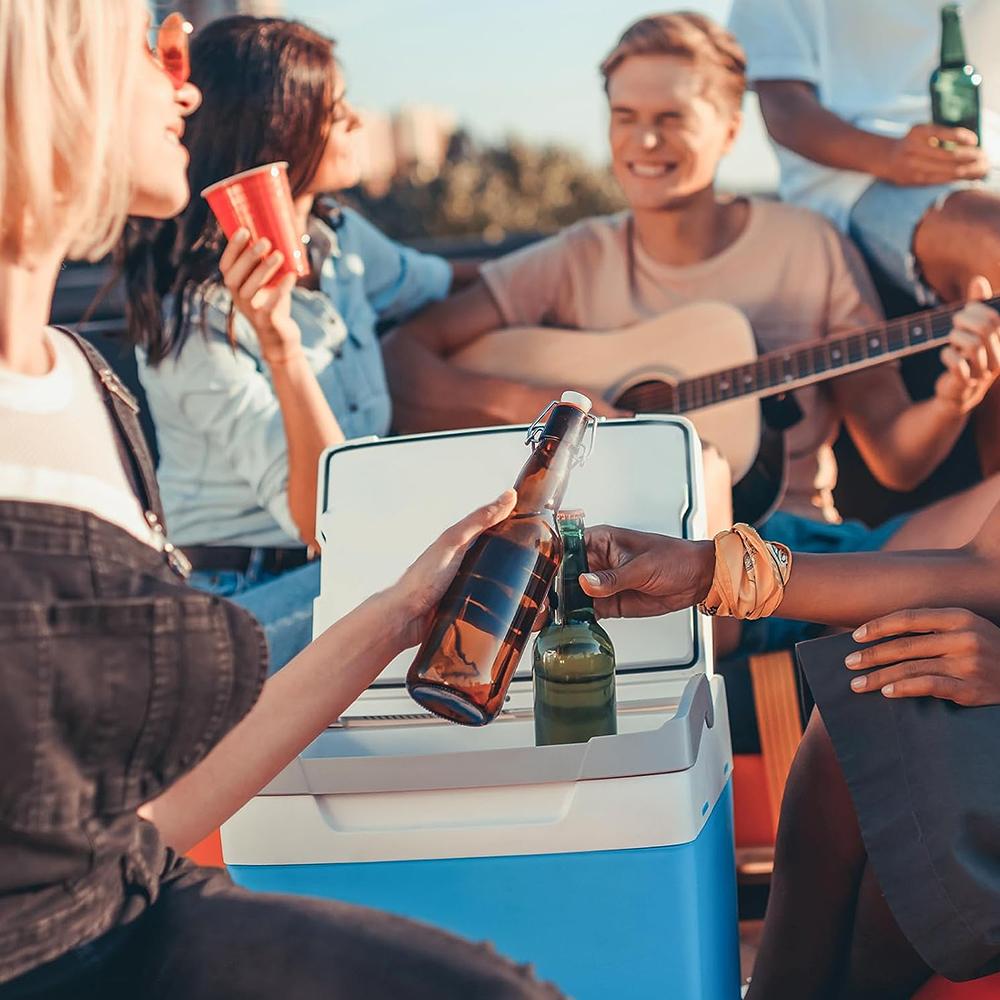 Набор пластиковых петель и винтов для холодильников, совместимых с охладителями Coleman(Набор из 4)