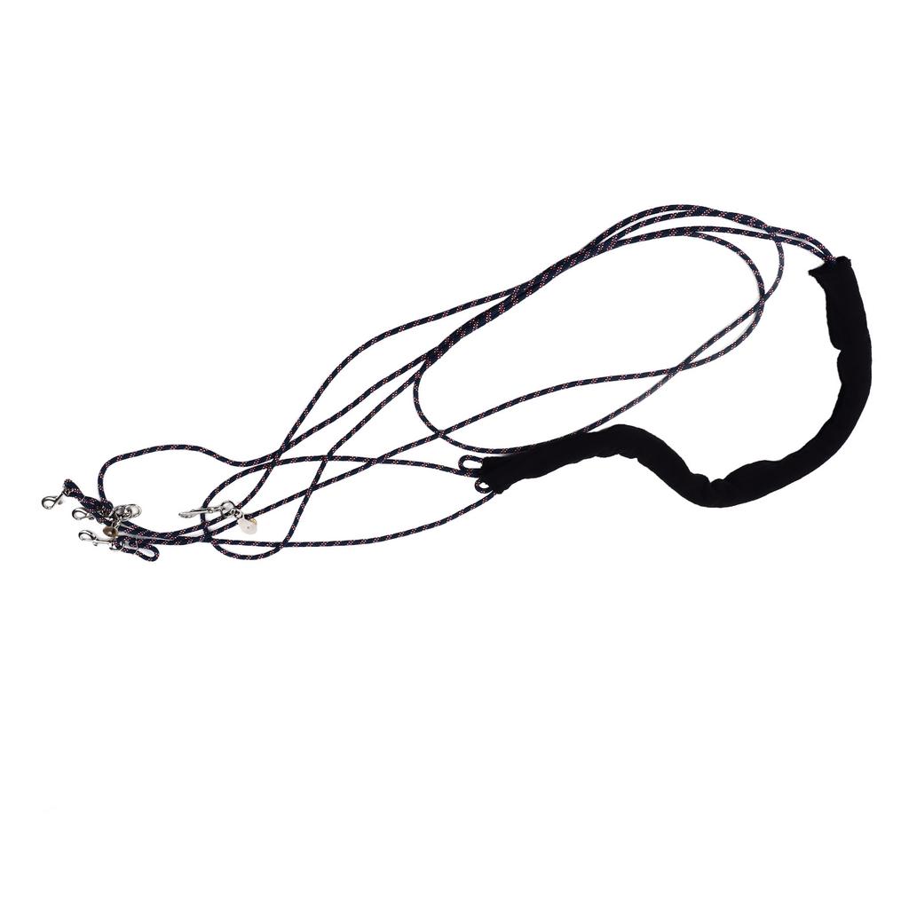 Adjustable Horse Training and Lunging Aid Horse Lunging Training Aid Lunge Equipment for Horse