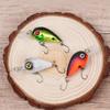 Lure Bait Mini Micro Bass Perch Floating Artificial Lure Fishing Lure Hard Fishing Lure
