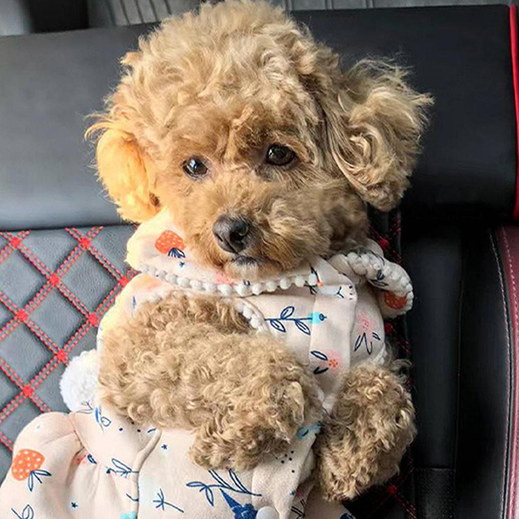 Car Seat Extender Leg Support Car Seat Leg Extender Comfortable Ergonomic Thigh Booster For Seniors Pregnancy Truck Boat RV