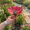 Handcrafted Garden Metal Flower Stake Sturdy Iron Bird Water Feeder  Backyard