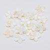 5Pcs Natural White Shell Plumeria Flower Pendant 20x20mm Mother of Pearl Floral Charm for DIY Necklace Earring Jewelry Making