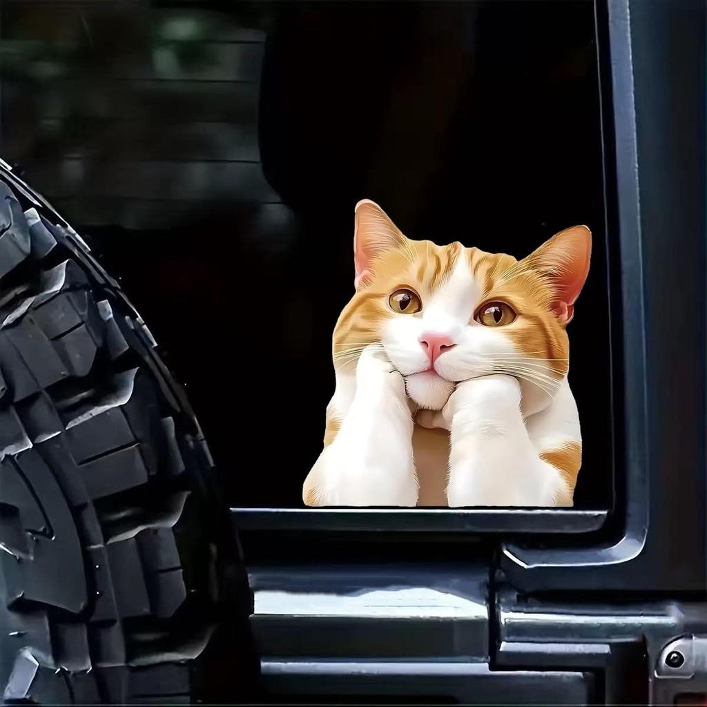 Two Thinking Cat Pack Vinyl Decal Sticker, Waterproof Poly Beer Covered for Cars, Laptops and Smooth Surfaces A098